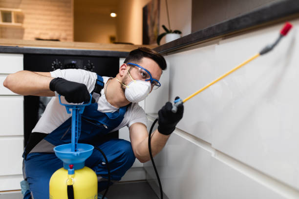 Best Pest Prevention Services  in Edgewood, IN