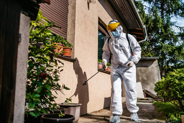 Best Pest Control Near Me  in Edgewood, IN