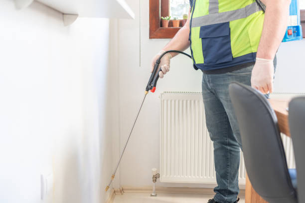 Best Wasp Removal Services  in Edgewood, IN