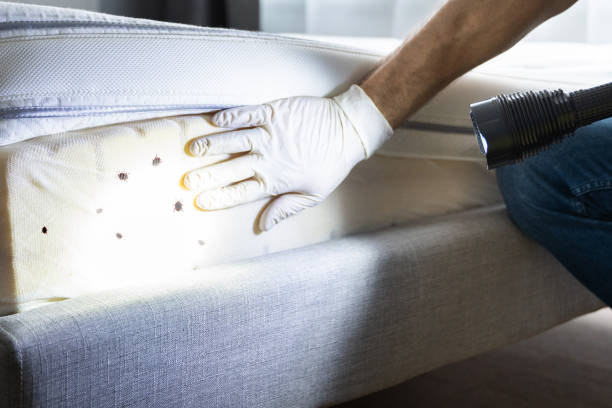 Best Mosquito Control Services  in Edgewood, IN
