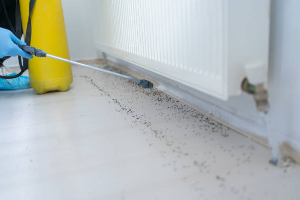 Best Pest Removal Services  in Edgewood, IN