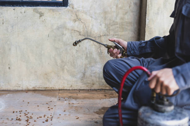 Best Pest Control for Homes  in Edgewood, IN